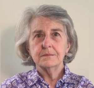 ABOUT - Chicago Area Peace Action