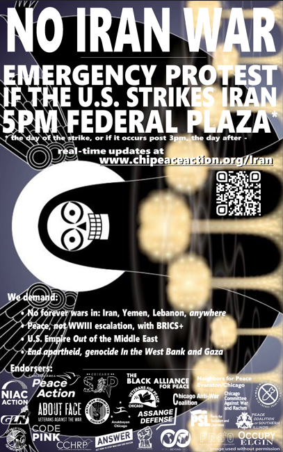 Chicago Area Peace Action